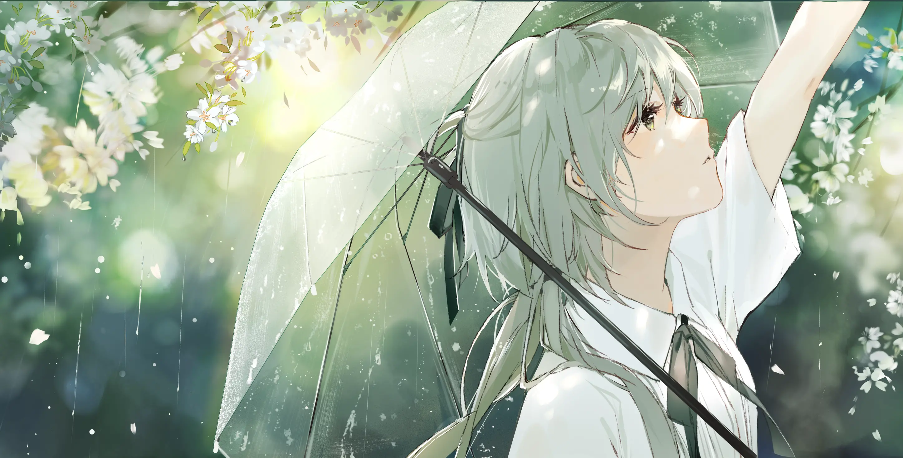 background picture of the home page